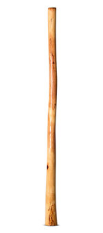 Ironbark Didgeridoo (IB279)